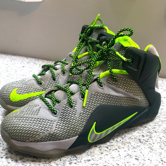 Nike Lebrun X11 Grey Wolf Dunk Force Dunkman - Picture 1 of 7